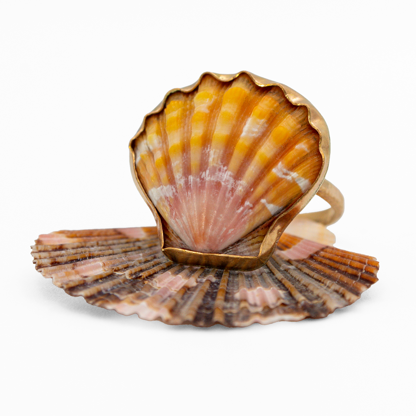 Hawaiian Sunrise Shell Ring