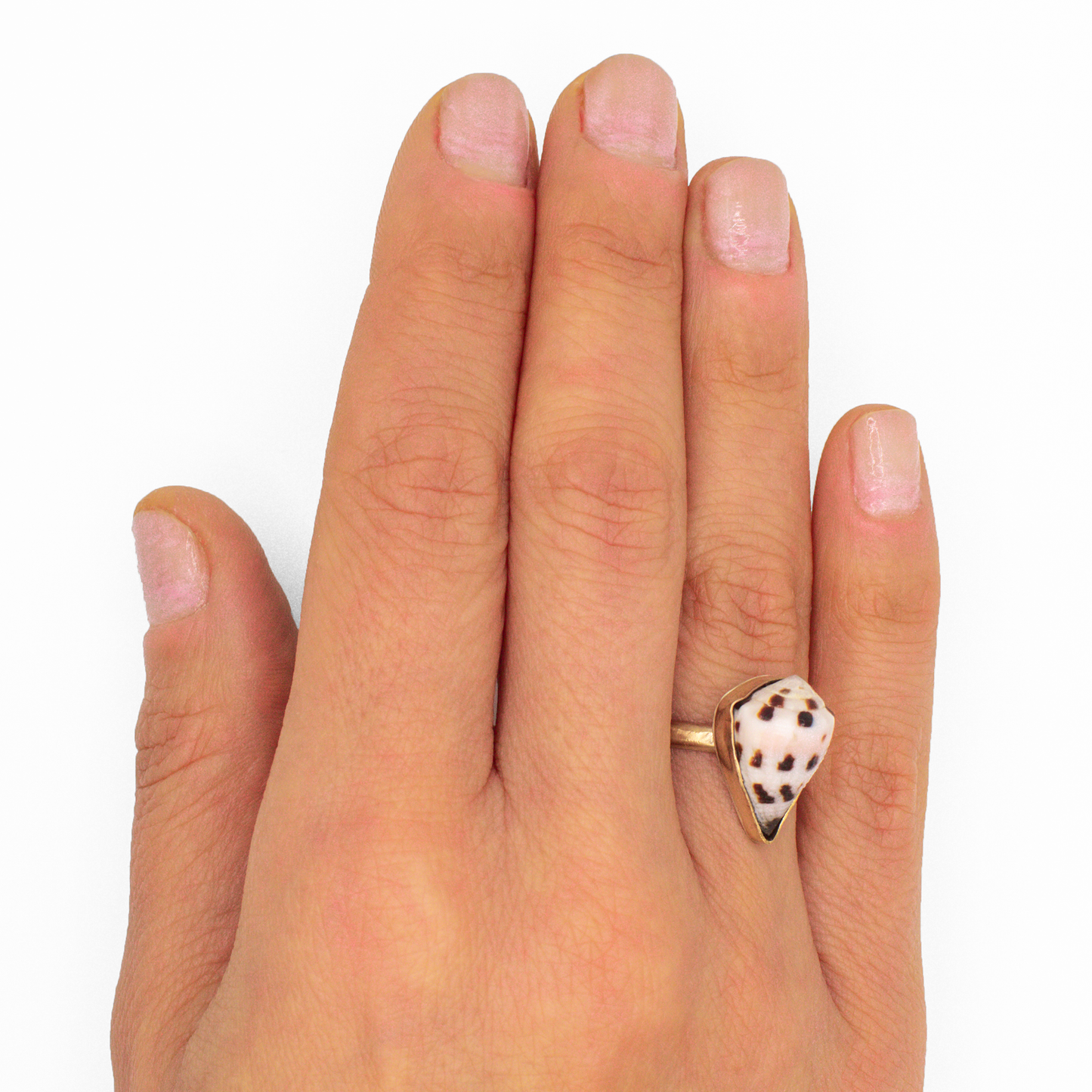 Hebrew Cone Shell Ring