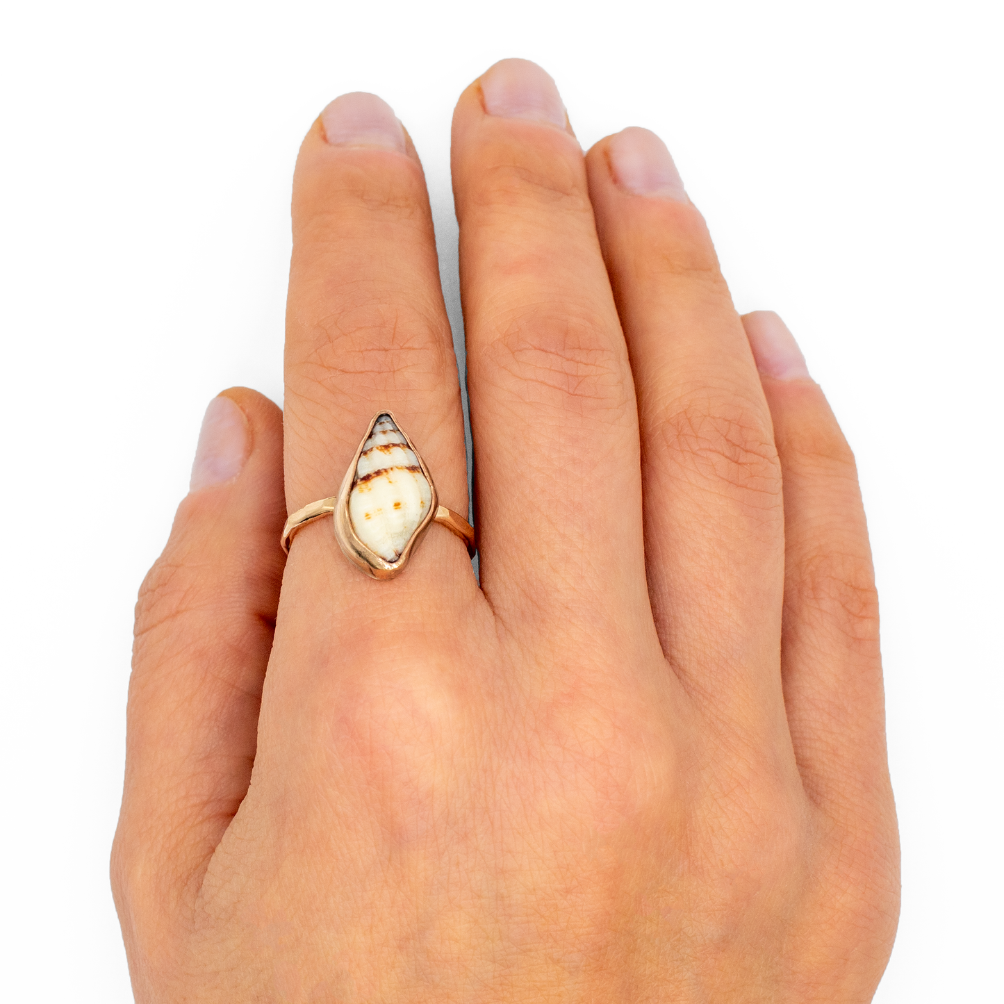Hawaiian Cone Shell Ring