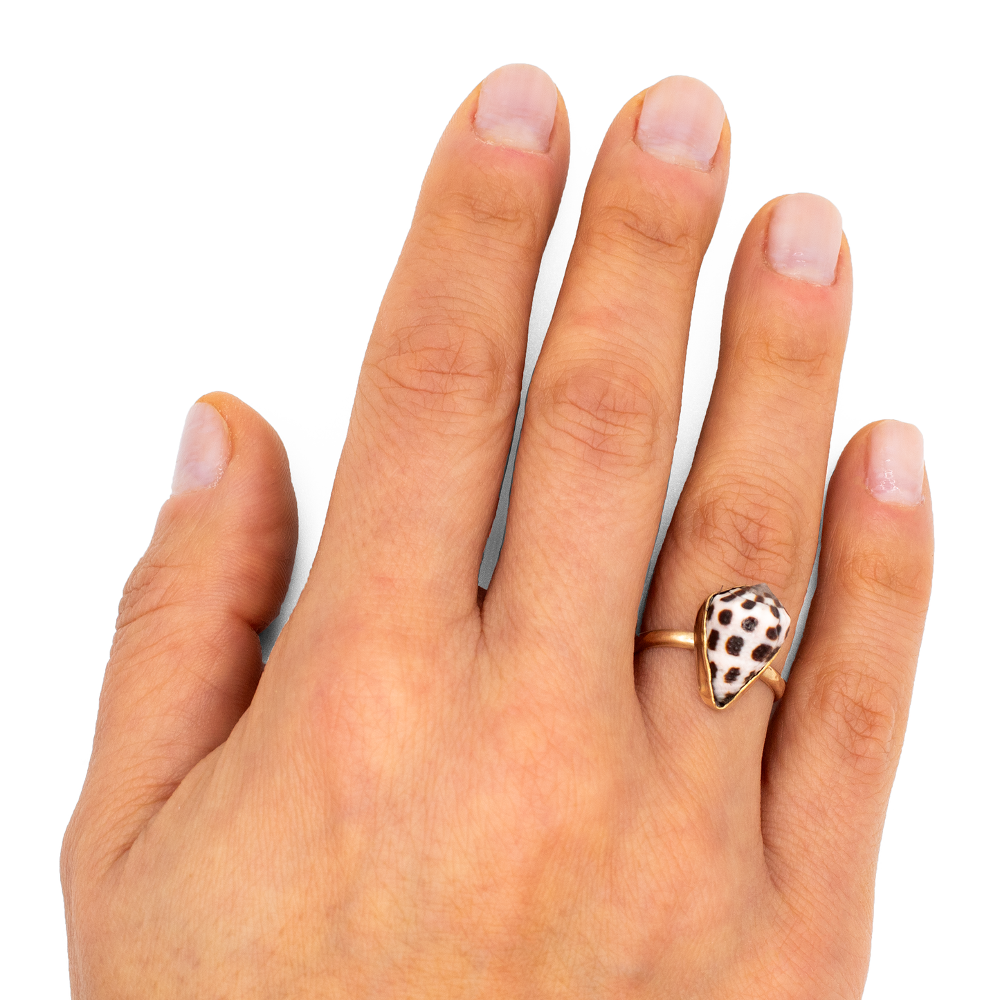 Hebrew Cone Shell Ring