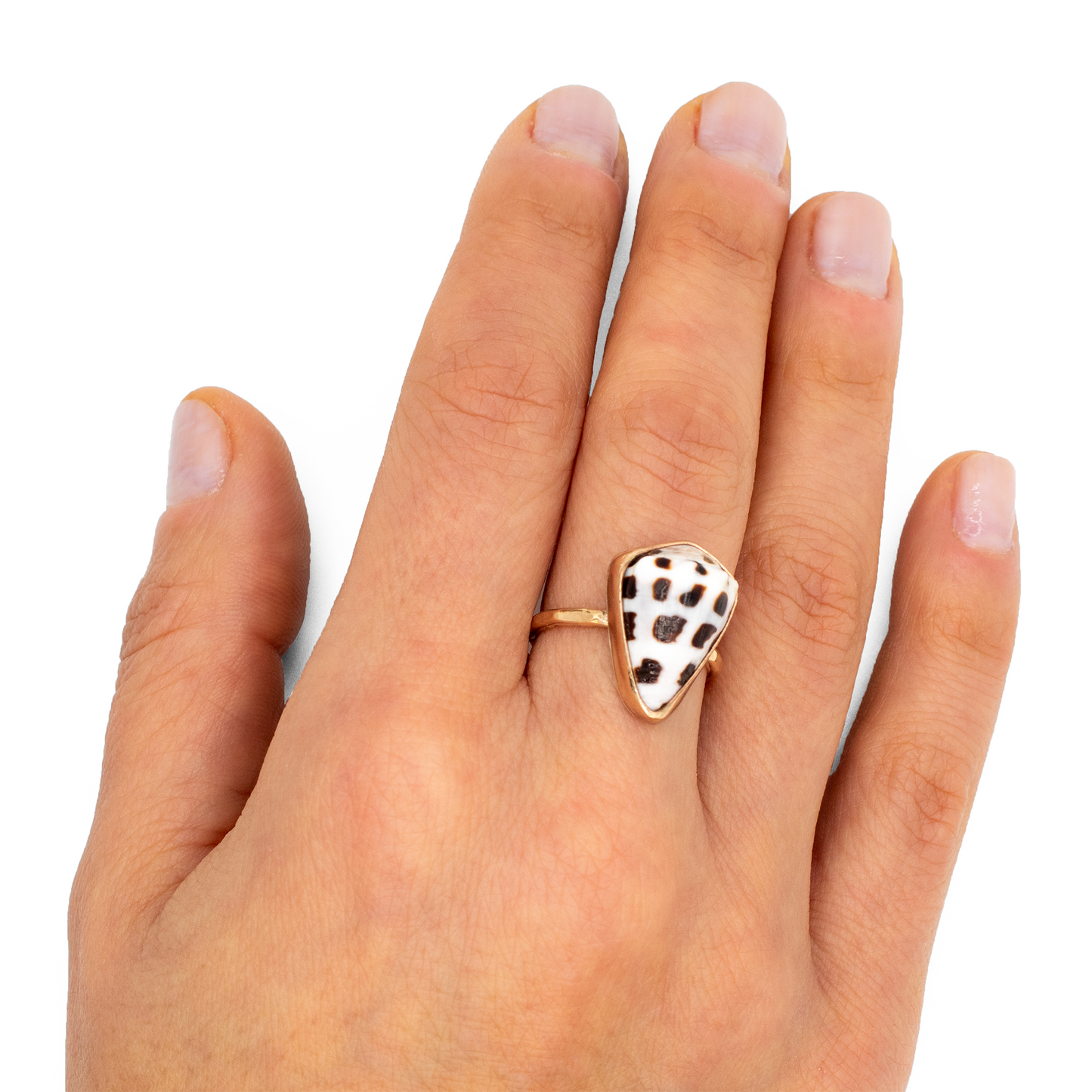Hebrew Cone Shell Ring