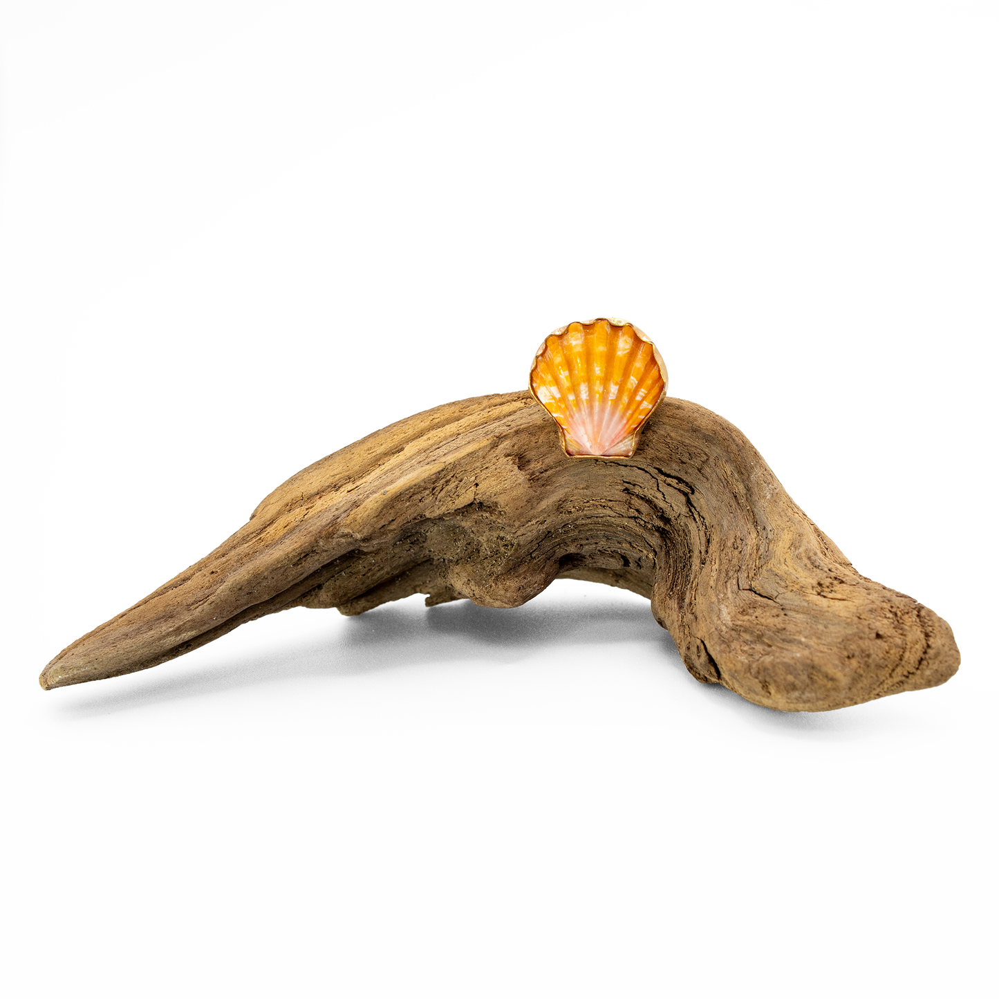 Hawaiian Sunrise Shell Ring