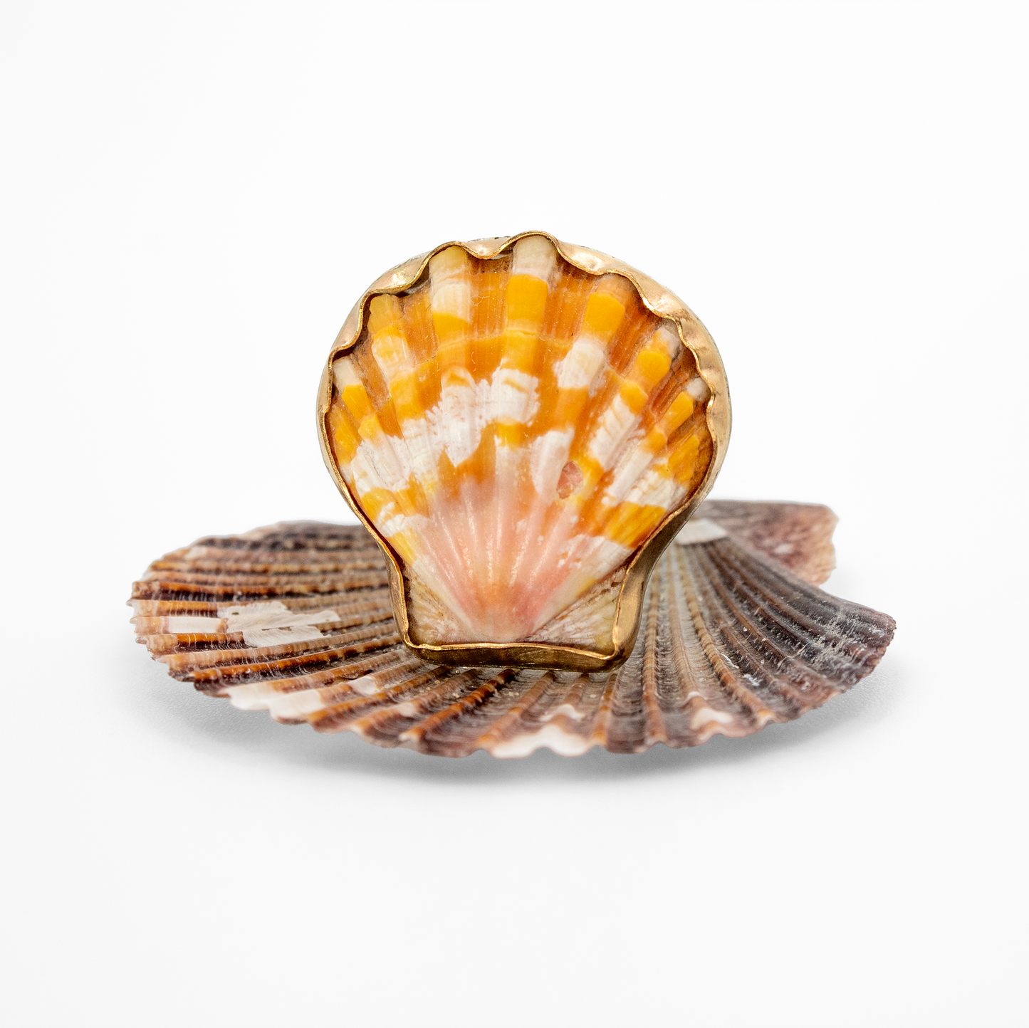 Hawaiian Sunrise Shell Ring